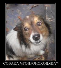 История одного вечера…