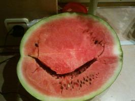 Полный ржач, мужик против лося, звериные инстинкты 