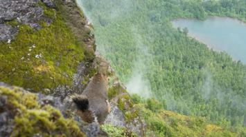 - ты видишь суслика?
- нет.
- а он есть.