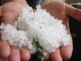 эту шутку природы мы встретили в центре города в машине, муж как в попу ужаленый искал самое пышное дерево, что бы спрятаться под ним от града, который был размером от с горошену до перепелиного яйца (на фото уже растаевший). в итоге нашел дерево но засадился в грязюки по самые пороги да и потоком воды ещё подмывало. но выбрались вроде без проблем, не подвел немецкий автопром. в итоге больше всех пострадал чебурашка на крыше, а мы легким испугом отделались. спосибо всем что карму подтянули