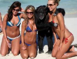 Потрясающая фотографическая память