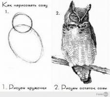 Понятно, короче это из этой серии .. что с хвостовиком не понятно, этож не якут, таким коротким оставлять нельзя, стабилизировал что чем,готовое изделие засовывал в вакумную камеру с анакролом, или варил в банке на огне с данишем, или просто полоком помазал... ничего не понятно.