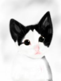 Я тоже иногда рисую на iPad в ScetchBook Pro и пальцем )