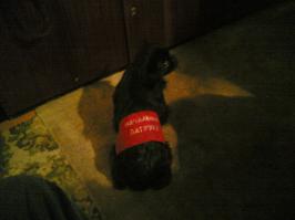 Немного еще военщины )