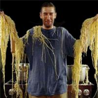 Давай купим мне "маздачку"... красненькую.