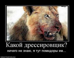 Демотиваторы