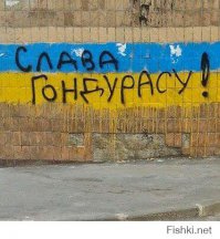 Украинские солдаты чувствуют себя дичью