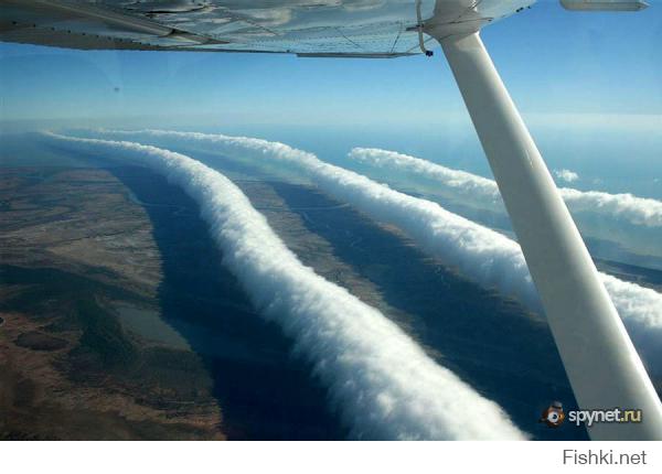 Эти облака называются Утренние облака славы. Их протяжённость составляет 1500 километров. Австралия