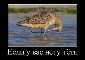 Тем, у кого день не задался