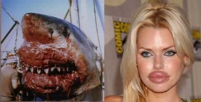 Самые интересные находки в желудках акул 