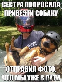 Прикольные картинки с надписями