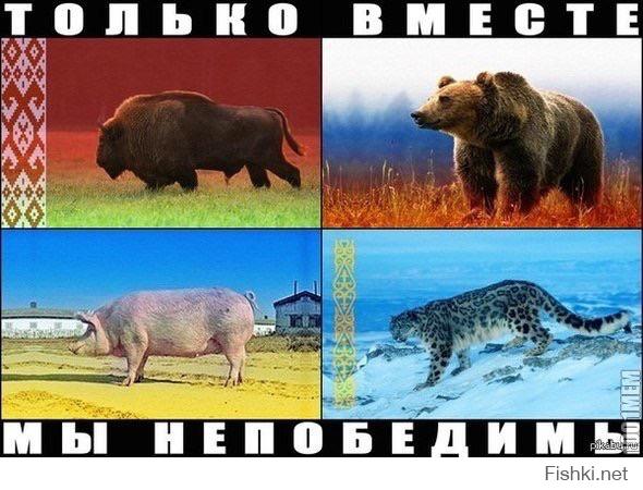 С ДР Потрашенко
