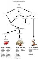 алгоритм для ТП "Знакомство с мужчиной" источник