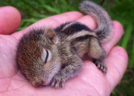 Фишкина солянка за 14.08.2014 