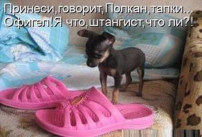 Фишкина солянка за 19.08.2014