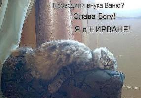 Фишкина солянка за 19.08.2014