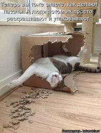 Фишкина солянка за 19.08.2014