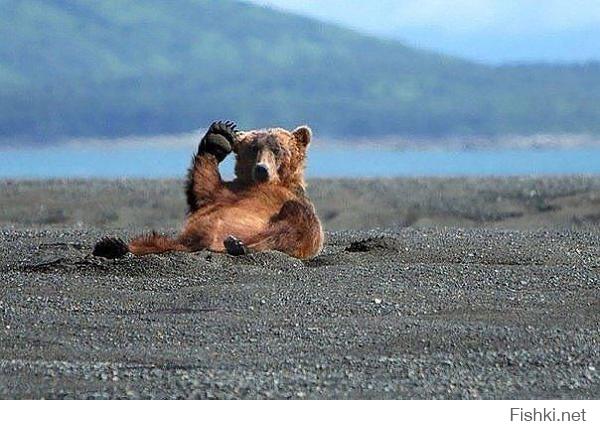 Салют, брателло! 
Водку с балалайкой не забыл?!