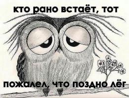 Фишкина солянка за 20.08.2014