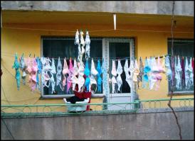 В борделе большая стирка.