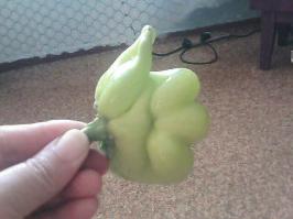 Реально крутой перец! ;)