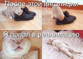 Фишкина солянка за 20.08.2014