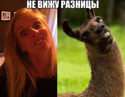 Фишкина солянка за 20.08.2014