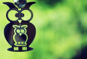 До кучи (и это только совы ;)):