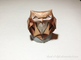 До кучи (и это только совы ;)):