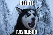 Очевидцы сняли начало извержения вулкана в Японии