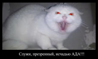 Злой кот в живущий в камине