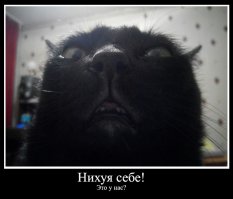 Сочи автодром. Экскурсия