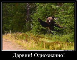 Чего то у ребят не то, с логикой