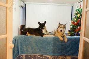 Мои красотулины)