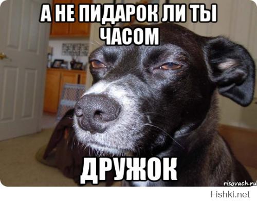 А зачем натуралу (а не натуралке) масло для жопы?