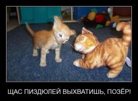 Котэ