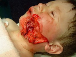 Сам не догхантер, но могу их понять