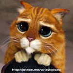 глазастенькие... 
напомнило: