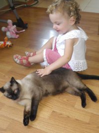 а вот мое чудо. терпит ВСЕ!