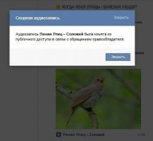 Смешные комментарии из социальных сетей 07.03.15