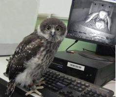 Фишкина солянка за 27.08.2014