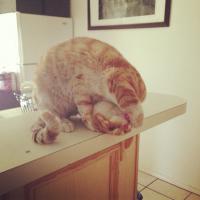 утром работать