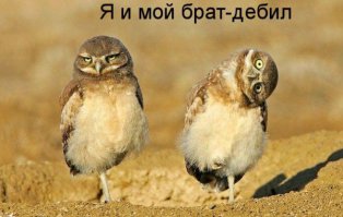 вспомнилось)))))
