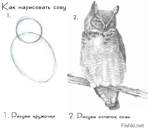 ну это как сову рисовать)))