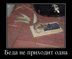 30 человек, у которых день был хуже вашего