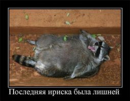 Утро 1-го января