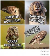 Украинская Рада выделила учстки для призывников 4 призыва.