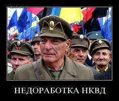 Фотоподборка за 04.09.2014