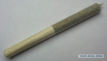 Когда заходит речь о содержании книг Льюиса Кэролла, я начинаю думать - что это?