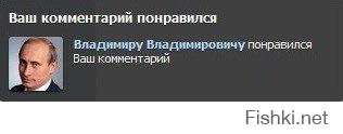 Не обращай внимания